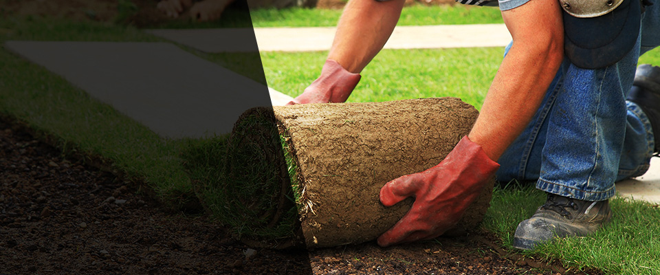 Newbern Landscapers